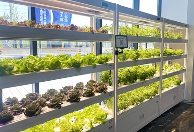 創(chuàng)新匯聚，未來(lái)啟航——2024雄安未來(lái)之城場(chǎng)景匯決賽圓滿(mǎn)舉行